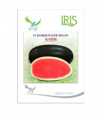 Watermelon F1 Iris Kabir (Icebox Segment) 50 grams